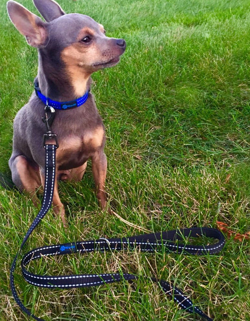 Load image into Gallery viewer, Reflective Nylon Dog Leash - We Donate a Leash to a Dog Rescue for Every Leash Sold
